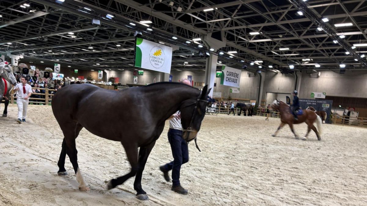 Une édition unique au Salon de l'agriculture 2026, entre défis et réussites