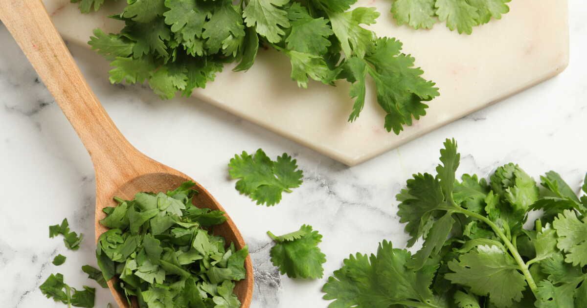 Des alternatives savoureuses à la coriandre