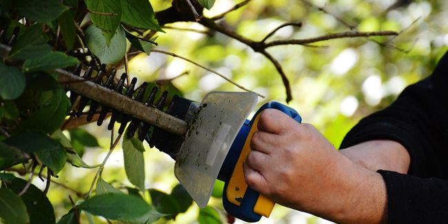 Bien choisir son taille-haie : guide pratique et astuces
