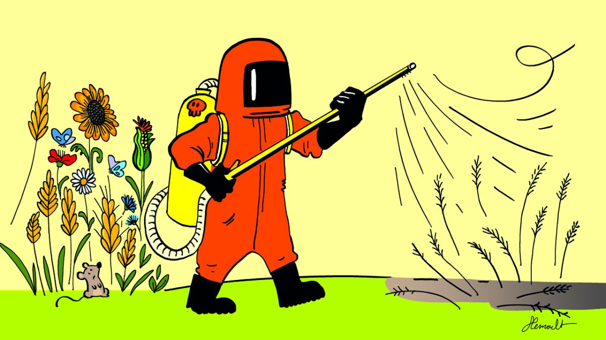 Retour de l'acétamipride : ce que pensent les lecteurs