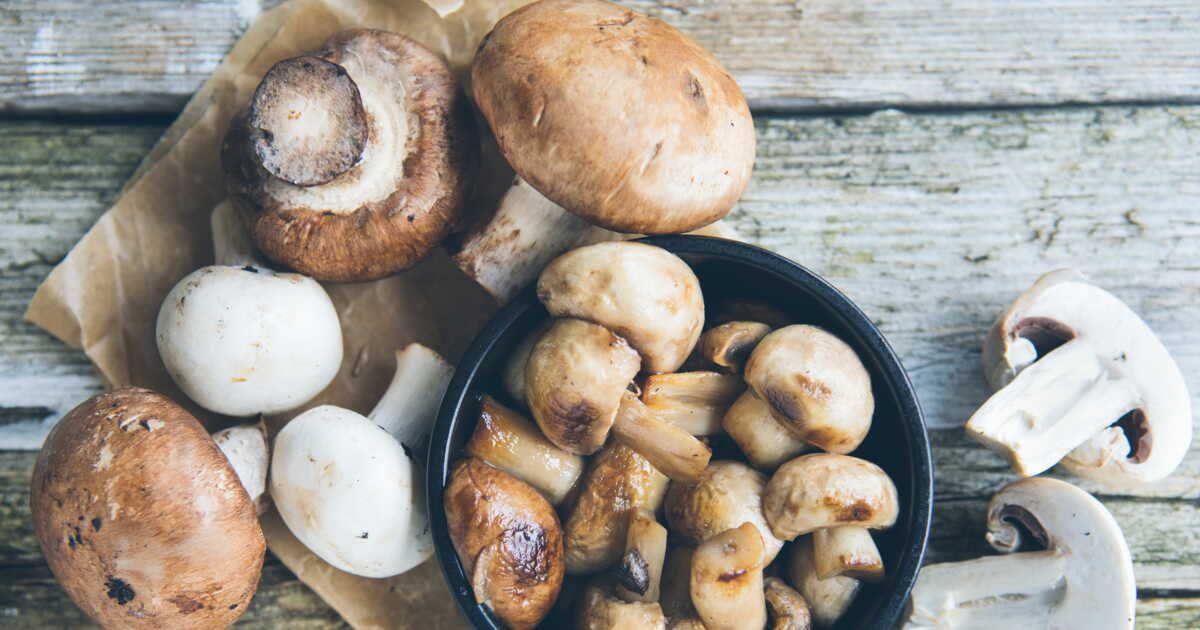 Les secrets pour congeler vos champignons frais en toute simplicité