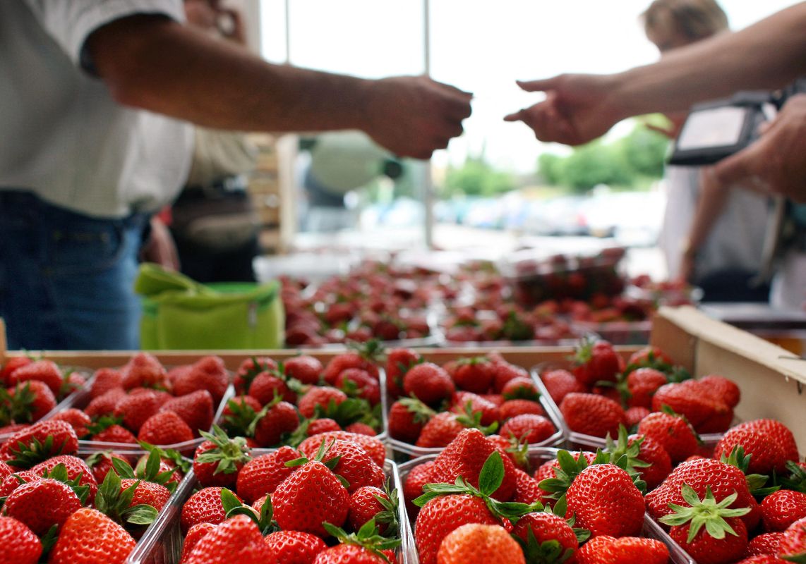 Des fraises rappelées partout en France : attention aux pesticides
