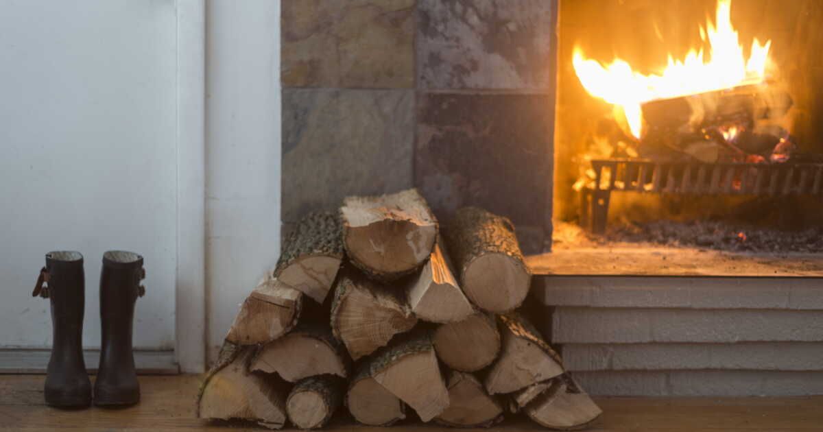 Peut-on vraiment prendre du bois en forêt pour sa cheminée ?
