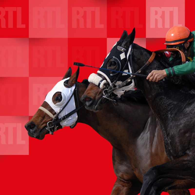 Quinté du dimanche 22 mars 2026 à Auteuil : les pronostics
