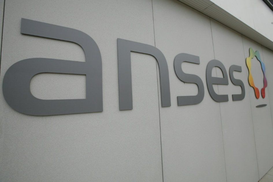 Alimentation et cadmium : vers une urgence de décontamination des sols agricoles