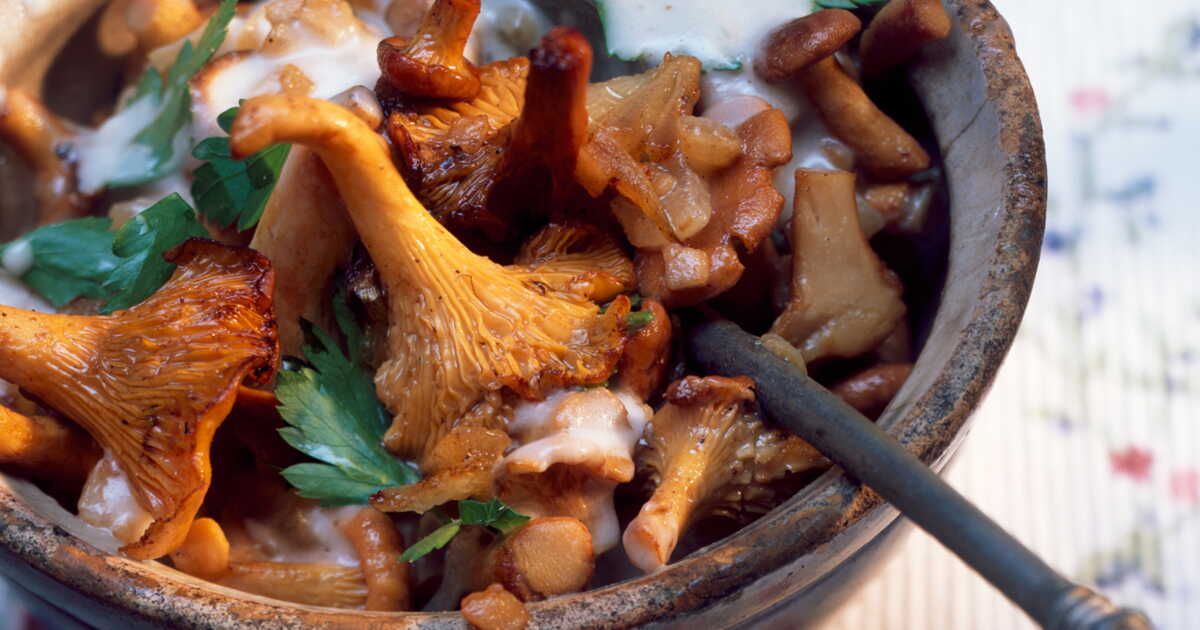 Découvrez le goulache de champignons : un plat réconfortant et savoureux