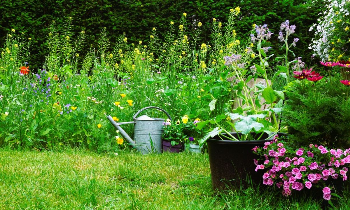 les secrets des jardiniers habiles pour un jardin sauvage et soigné