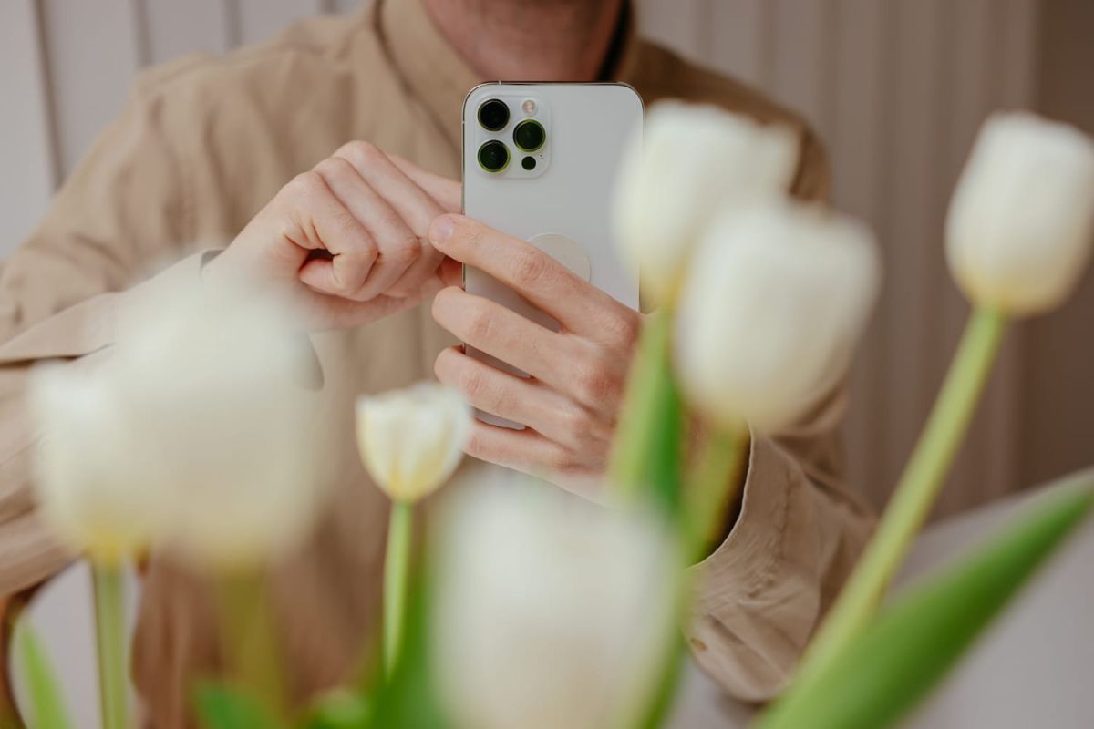 Découvrez la fonction cachée de votre iPhone qui identifie les plantes