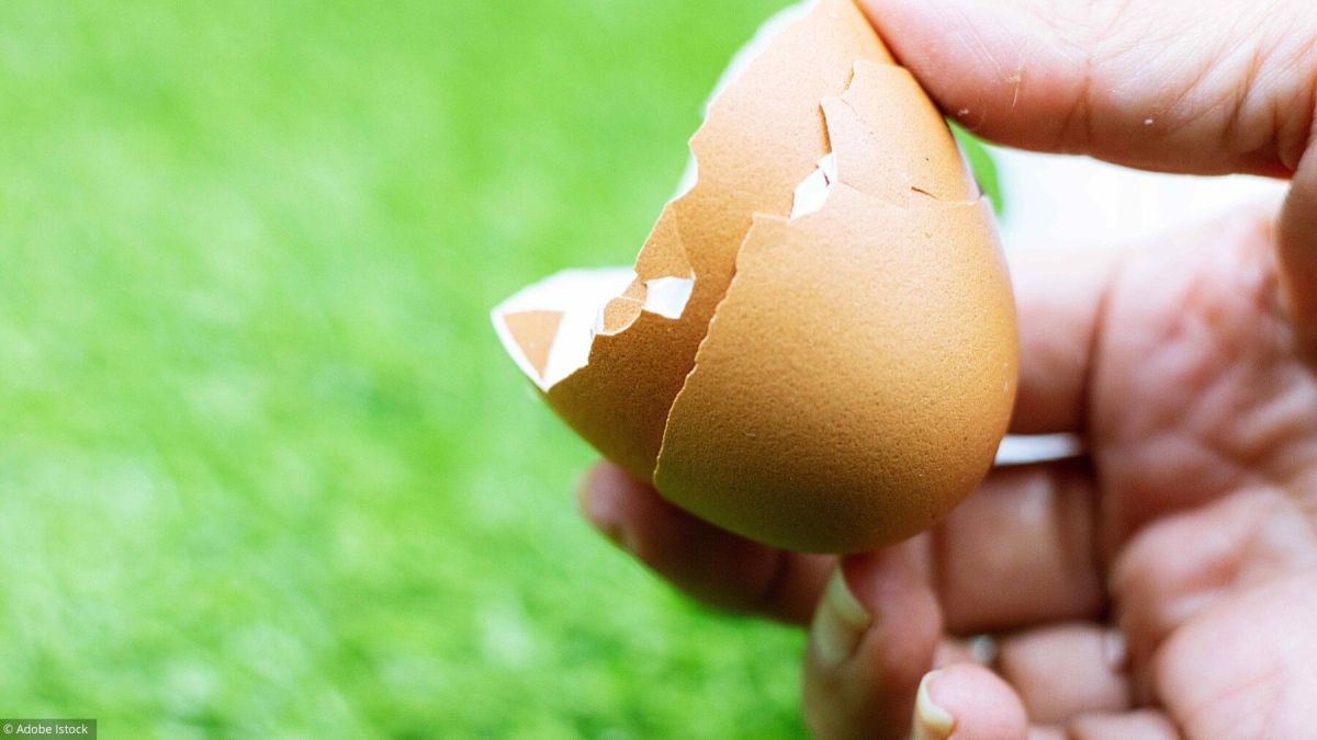 Recyclez vos coquilles d'œuf : des astuces anti-gaspillage indispensables