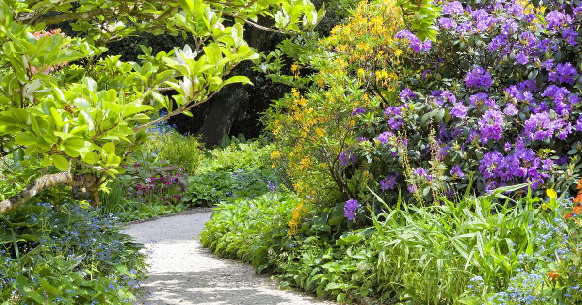 Créer un jardin à l’anglaise : les secrets de la nature en liberté