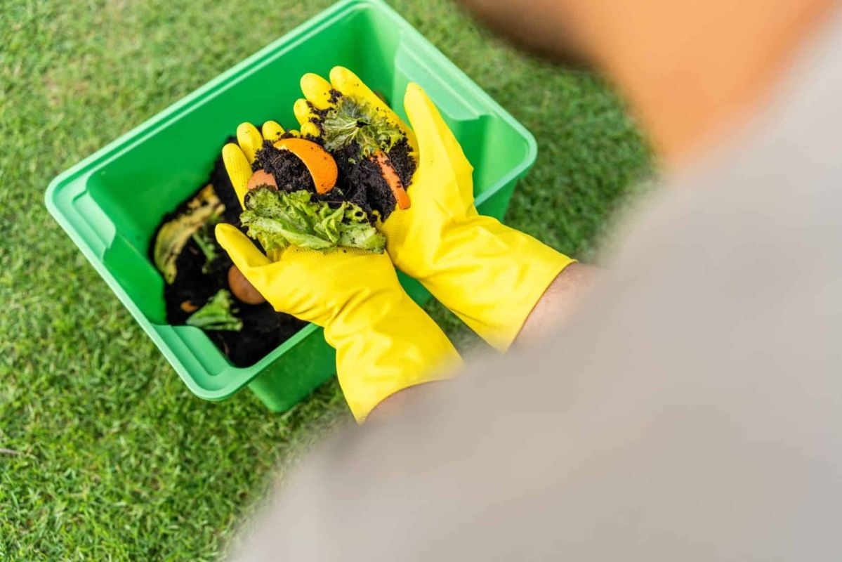 Révolutionnez votre compostage : la clé pour un compost rapide et efficace