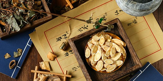 Les médecines traditionnelles : entre promesses et défis environnementaux