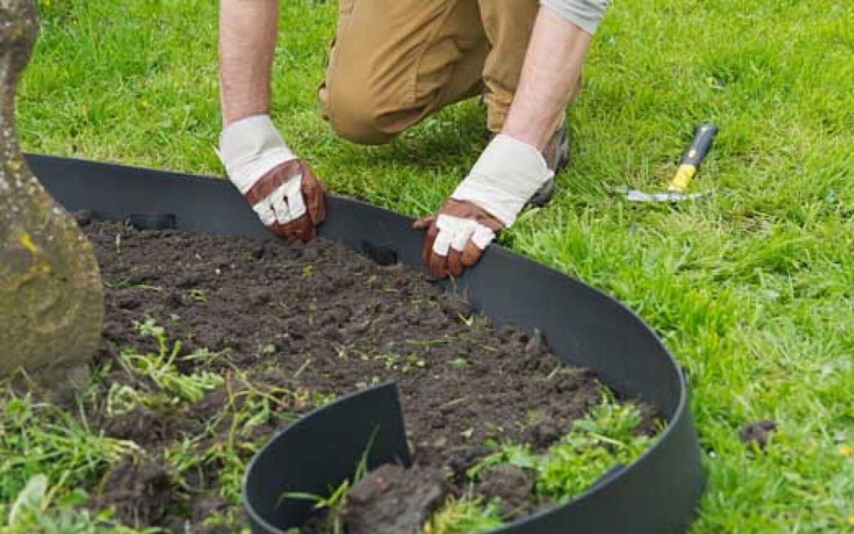 Astuce pour un jardin bien structuré