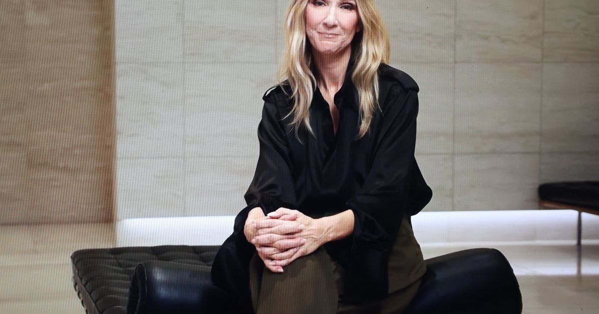 une Béarnaise raconte son désastre : victime d'une arnaque de billets de Céline Dion