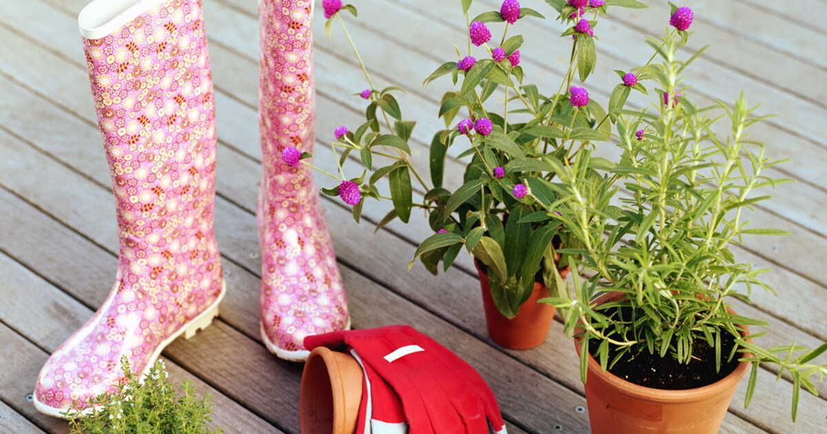 Quand le jardin s'invite dans nos pas