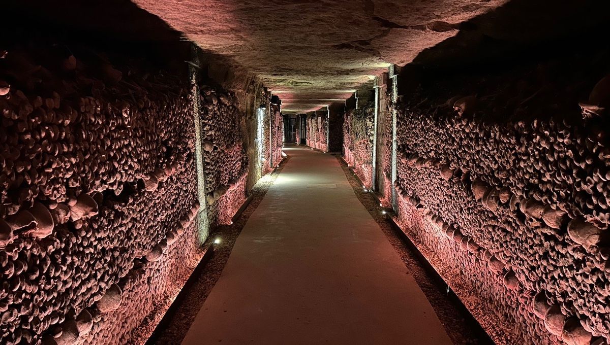 Les catacombes de Paris : une réouverture tant attendue
