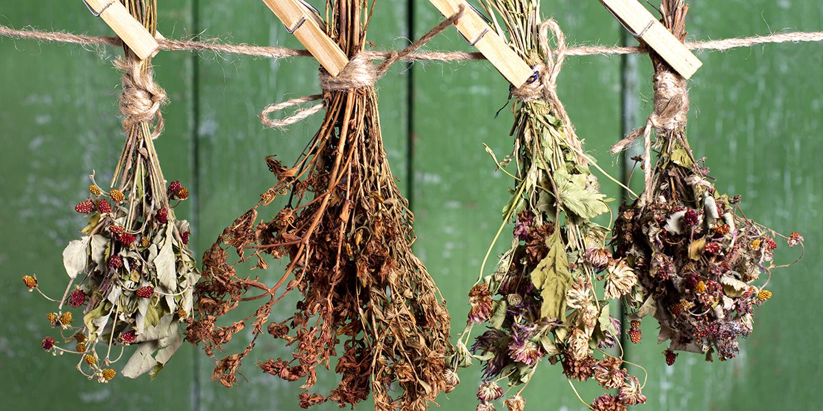 Créer des bouquets secs : 8 astuces pour sublimer vos fleurs