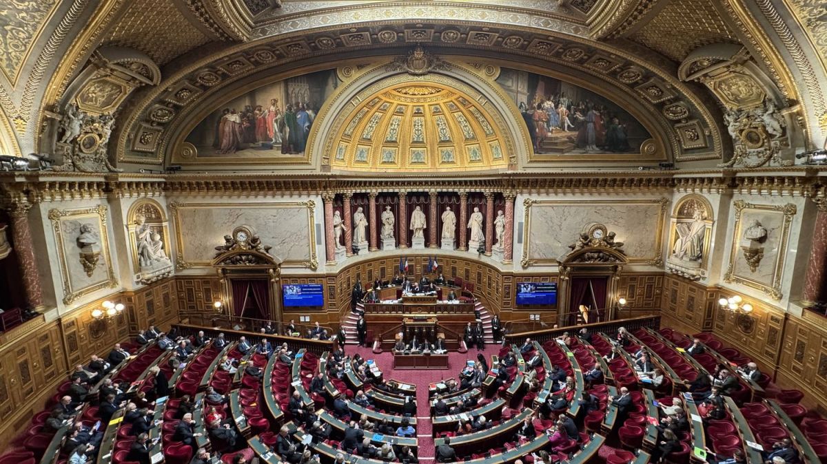 Le Sénat protège la création culturelle face à l'essor de l'intelligence artificielle