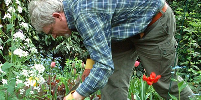 Les jardins thérapeutiques : une bulle de bien-être à portée de main