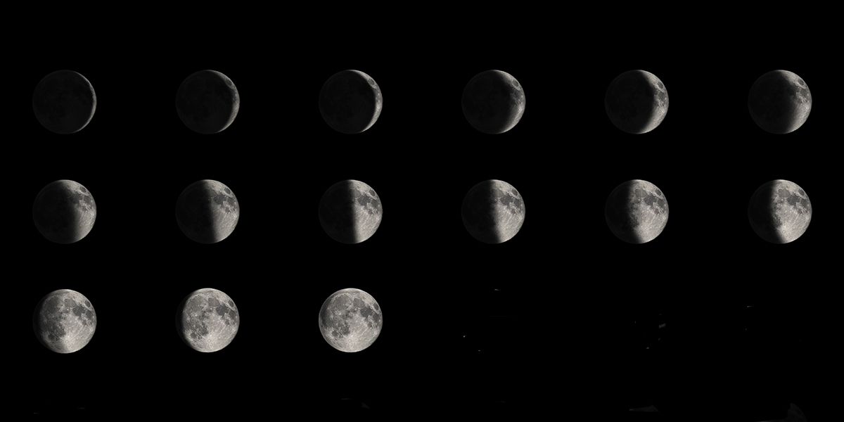 Aménager son jardin sous l'influence de la lune croissante
