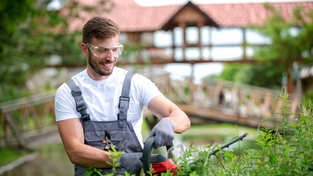 Jardinage et impôts : ce que vous devez savoir pour déduire vos frais