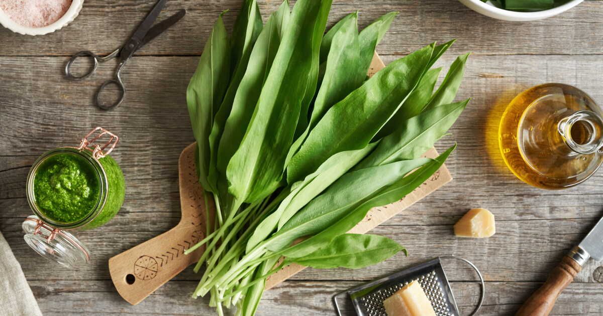 Savourez la saison de l'ail des ours avec ces délicieuses recettes