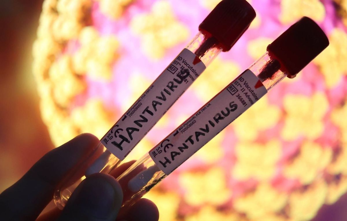 Hantavirus : une passagère française se bat pour sa vie après une croisière malchanceuse