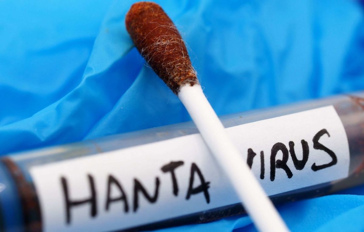 Hantavirus : des passagers en alerte, les nouvelles préoccupantes d'une croisière