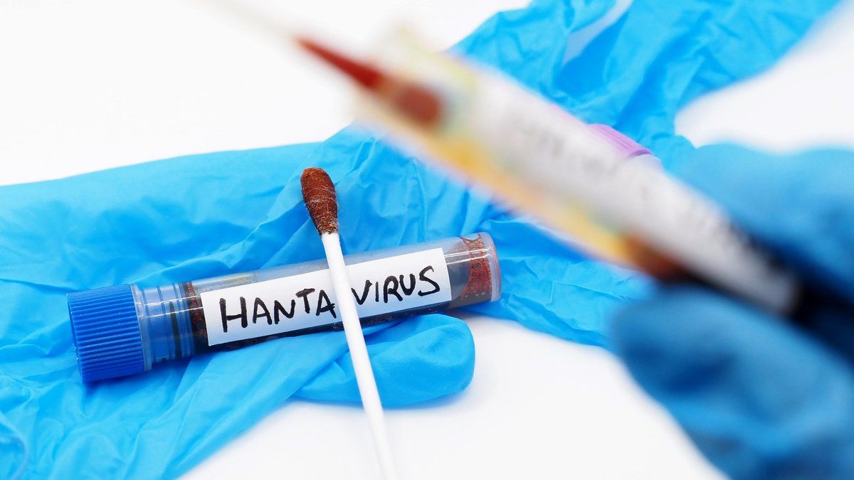 Hantavirus : le gouvernement renforce les règles d'isolement à l'hôpital