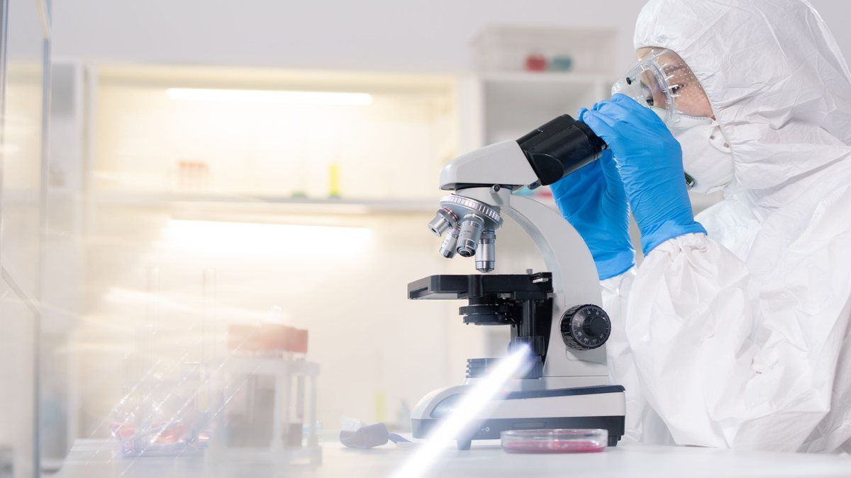 À la recherche d'un remède face au hantavirus
