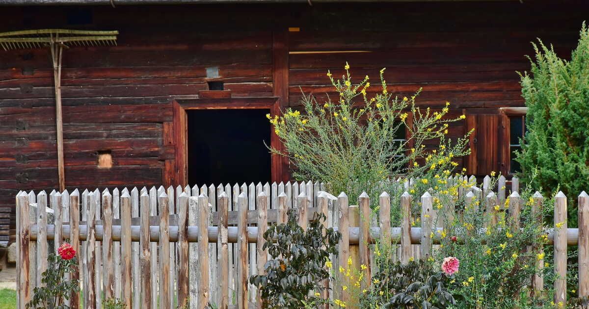 Préparer son jardin pour les vacances : astuces pratiques