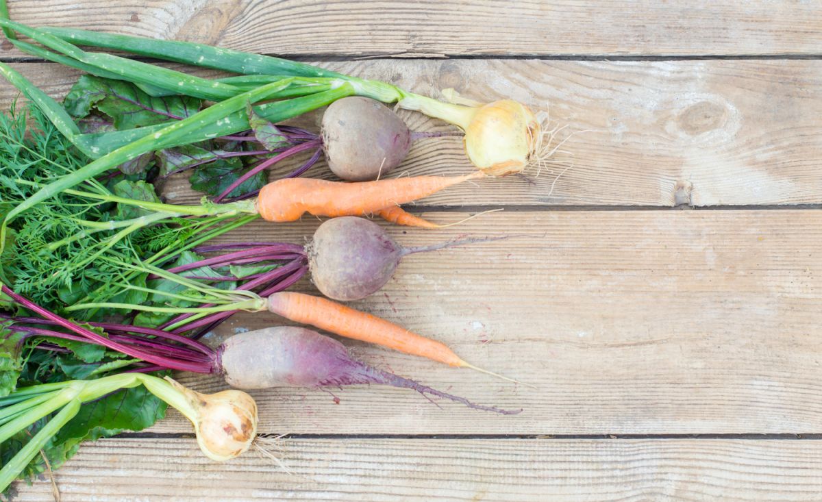 Des recettes surprenantes pour sublimer vos fanes de légumes