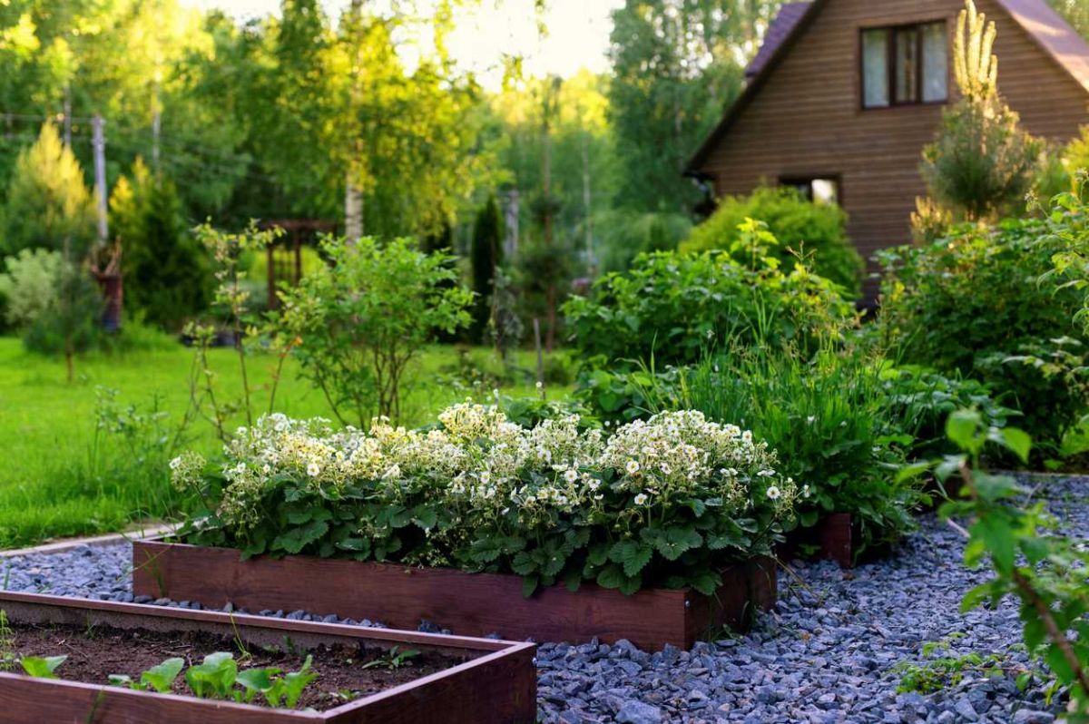 Créer un paradis frais dans votre jardin : découvrez la méthode inattendue