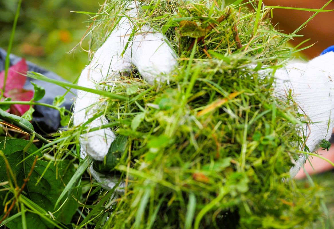 Composter l'herbe de tonte : évitez le désastre avec ce conseil essentiel