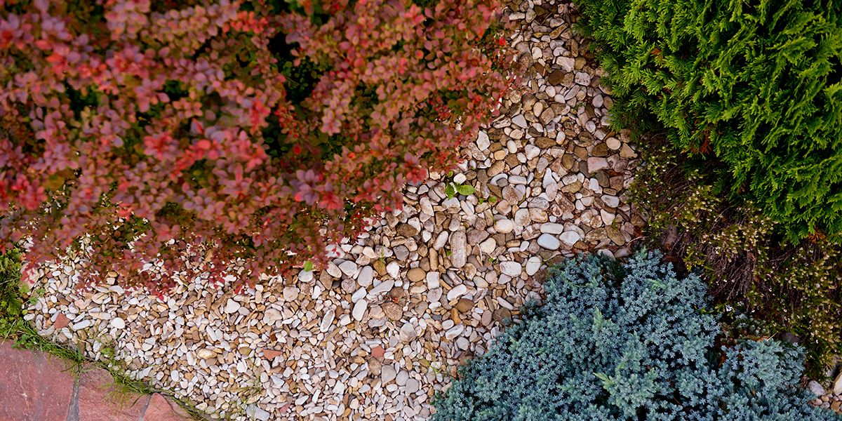Le paillis minéral : une option à reconsidérer pour nos jardins ?