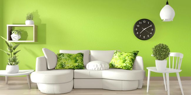 Le vert anis : la couleur tendance qui métamorphose votre intérieur