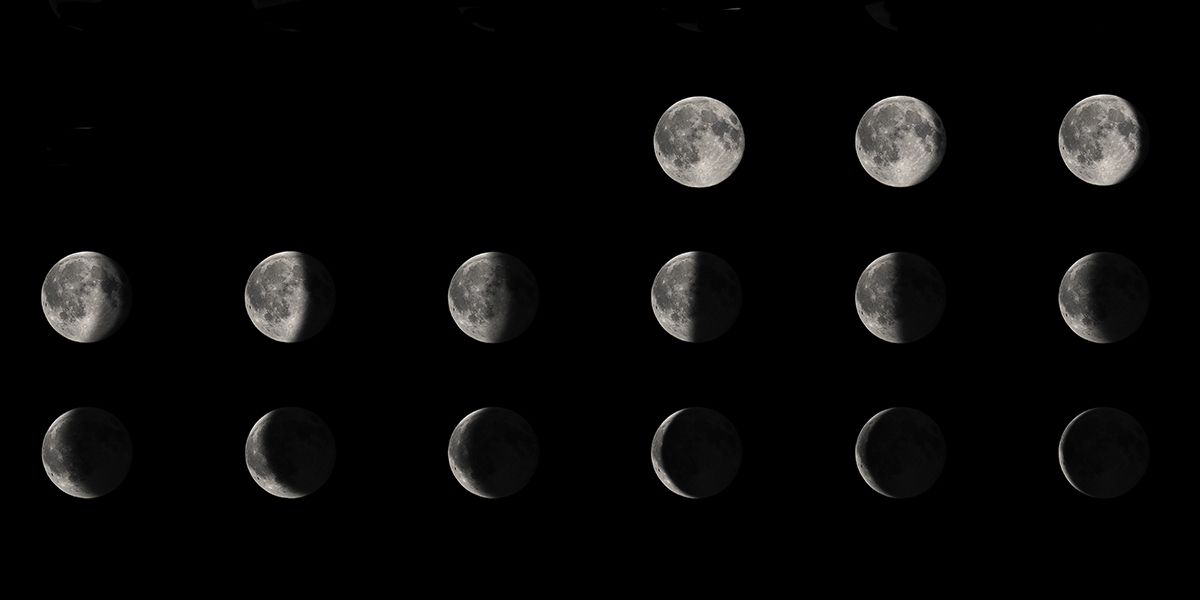 Que faire au jardin lorsque la lune est décroissante ?