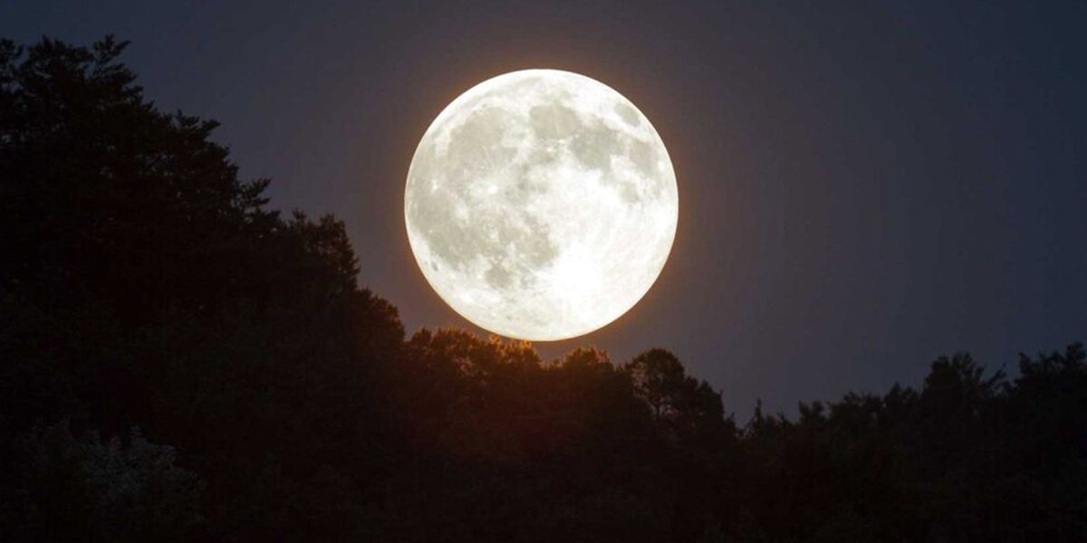 Calendrier lunaire du jardin - Juin 2025