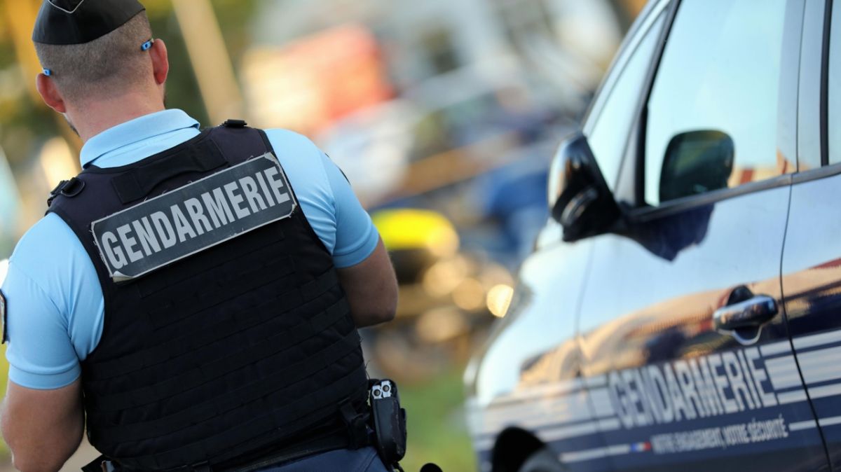 Choc au Tranger : une femme trouvée morte, ses chiens impliqués