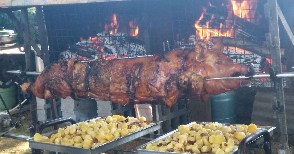 Polémique autour de la Fête du cochon à Pont-Scorff : le maire s'oppose à l'événement