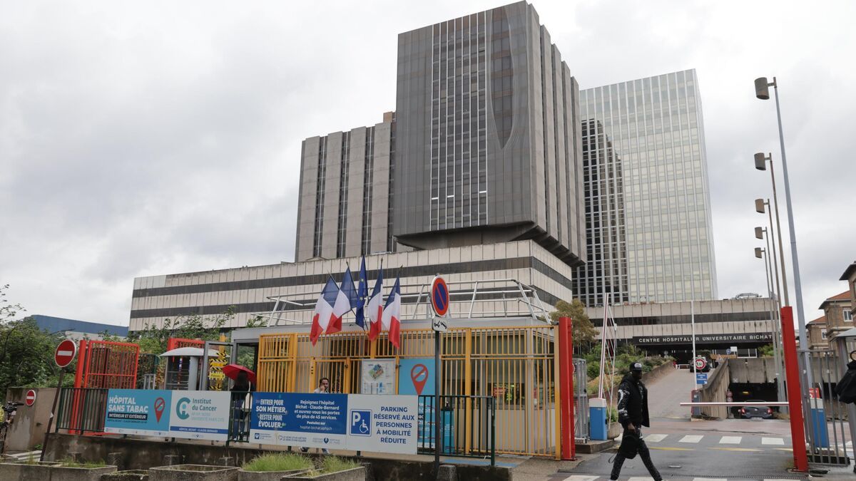 Nouvelles sur le hantavirus : état grave de la patiente française et isolement des contacts