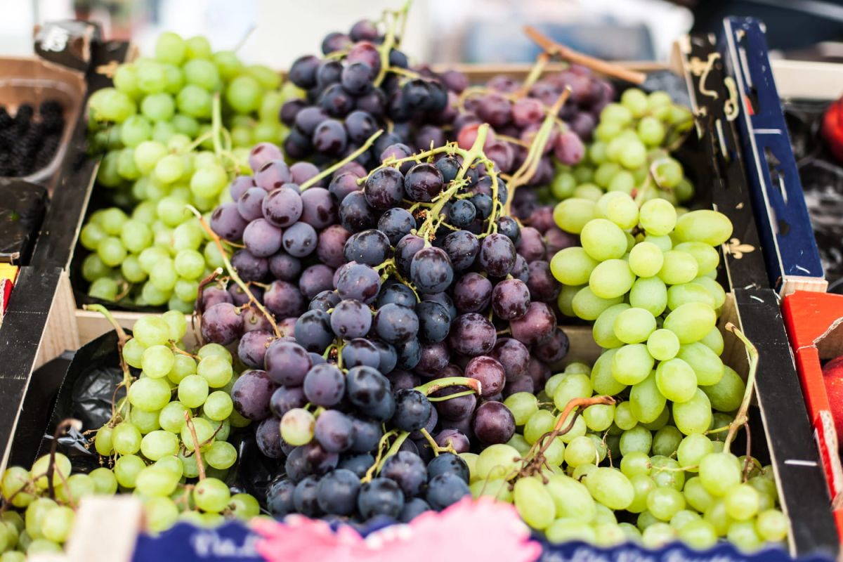 Des raisins sans pépins qui séduisent les enfants