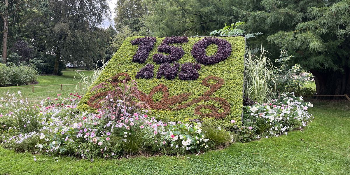 Mosaïculture : l'art de transformer votre jardin en œuvre vivante
