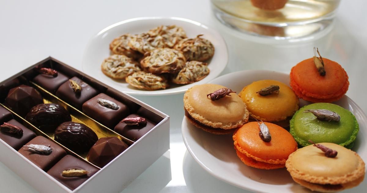 Insectes comestibles : un nouvel avenir pour notre alimentation