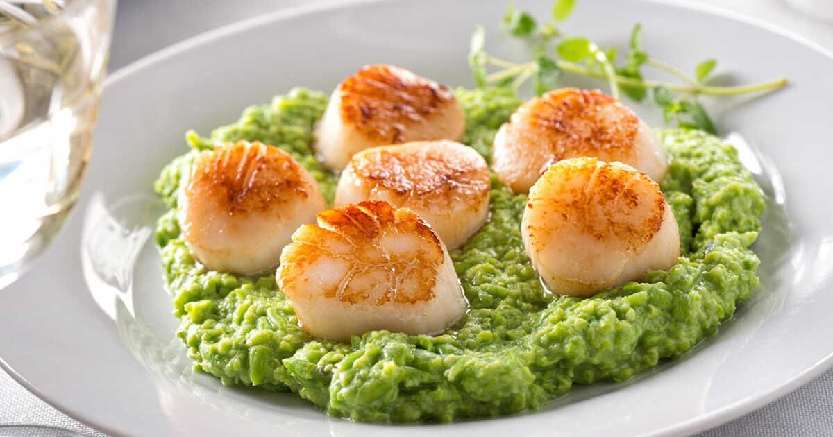 50 recettes de coquilles Saint-Jacques pour sublimer vos fêtes