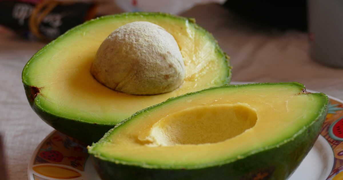 l'astuce infaillible pour garder votre avocat frais plus longtemps