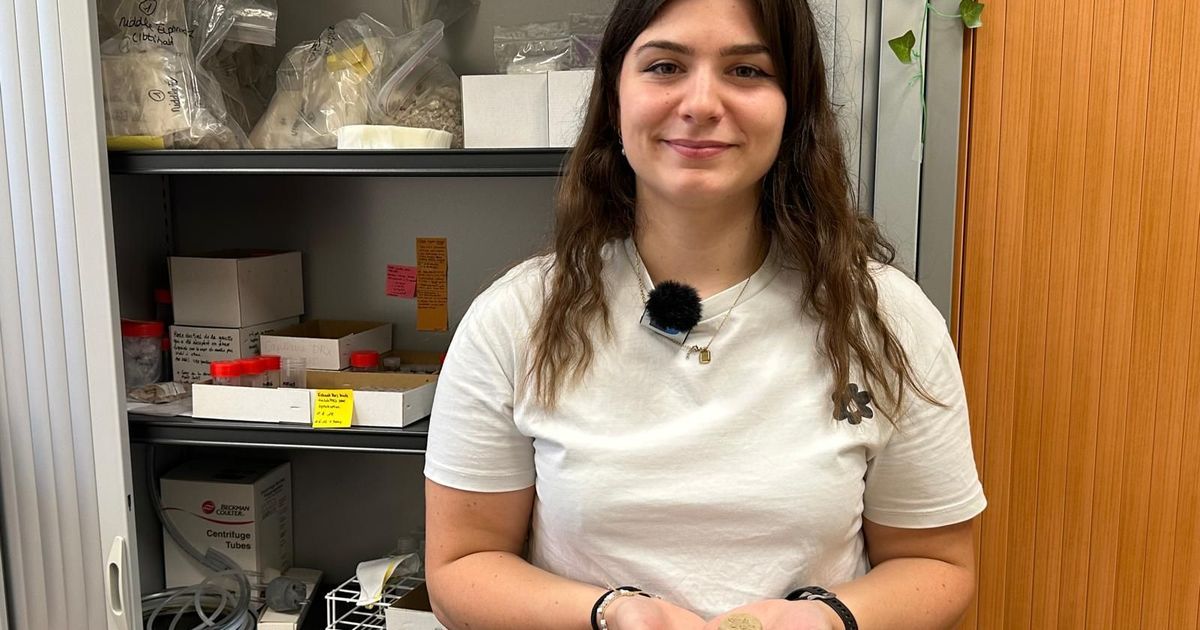 Une étudiante de Poitiers aide le Louvre à restaurer des trésors antiques