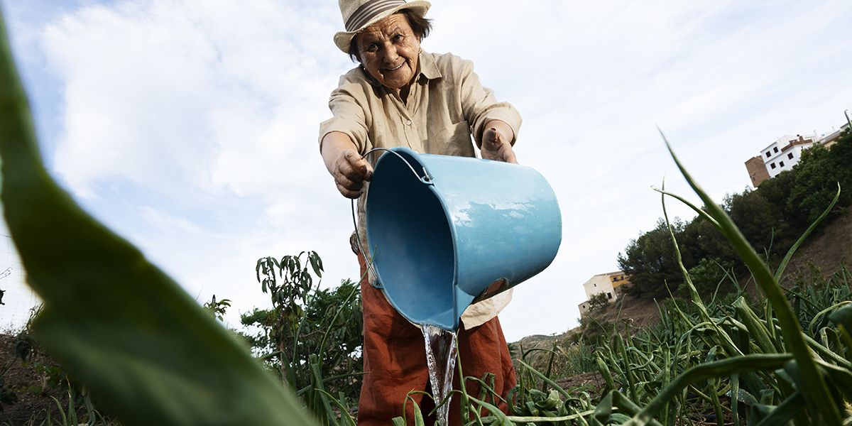 Réutiliser les eaux grises : une solution pour un jardin durable