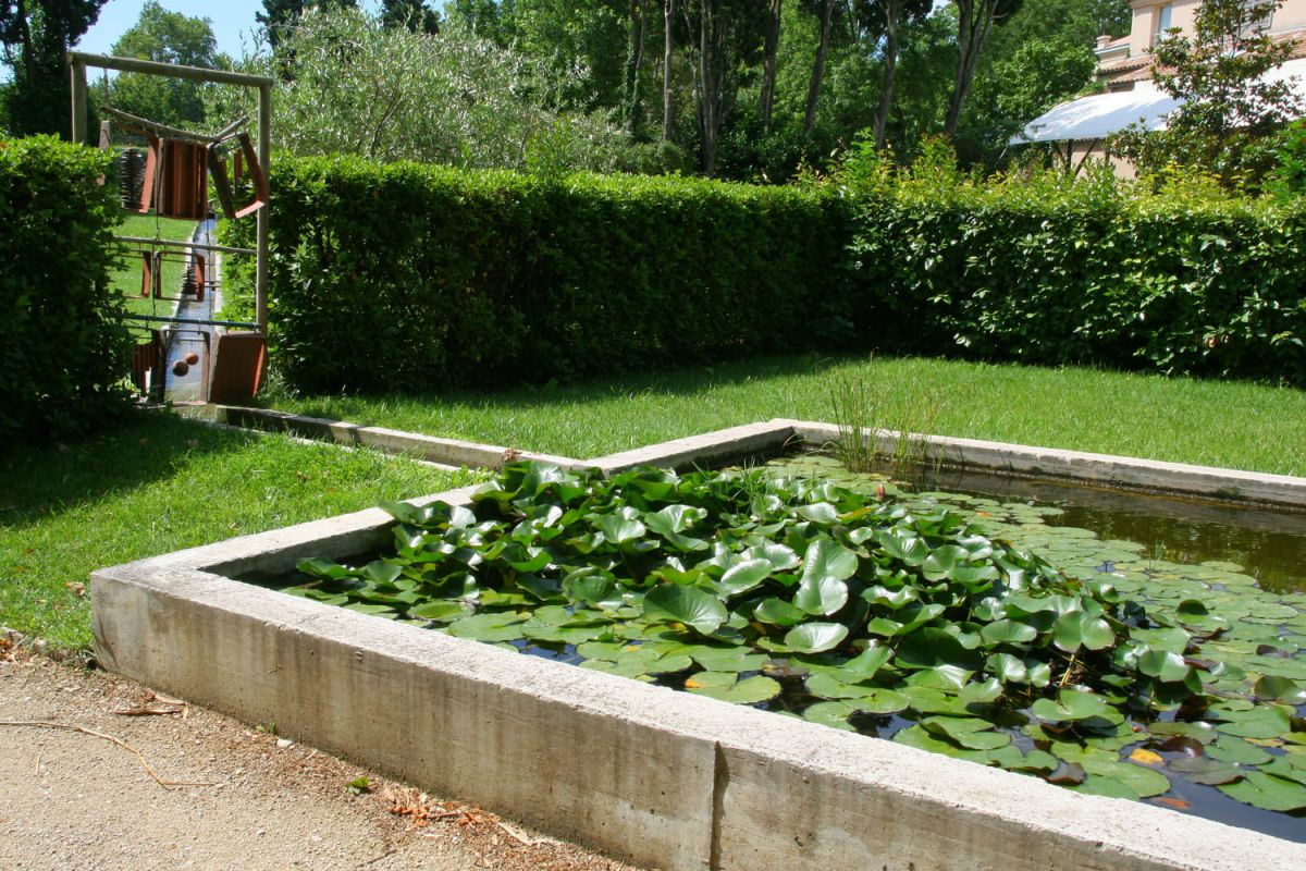 Des plantes pour embellir vos bassins