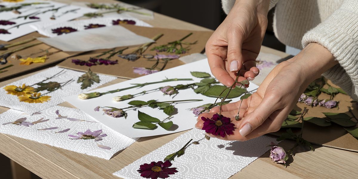 L'art de créer un herbier : votre guide pratique